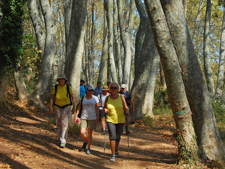 Els Cloterons (Parc Natural del Cad&iacute;-Moixer&oacute;)